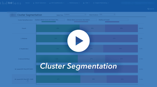 Watch cluster segmentation video