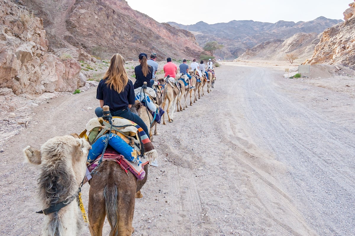 Facebook Fundraising Example for Birthright Israel Foundation image