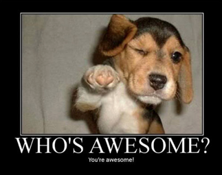 Who's awesome?