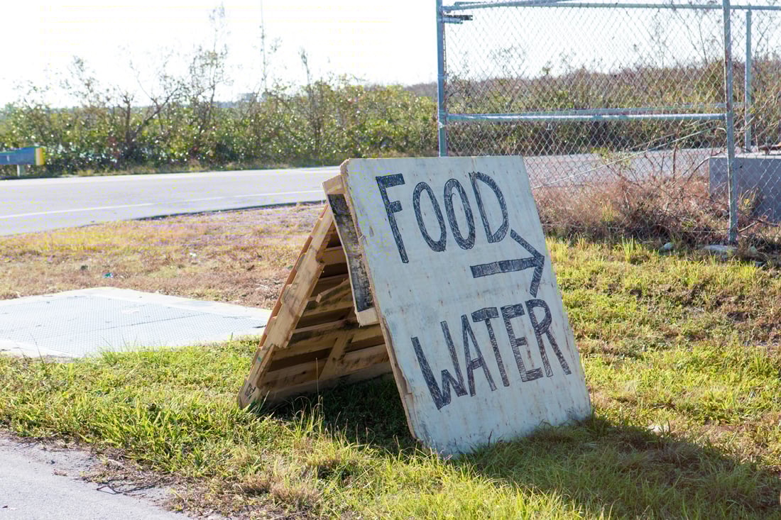 Disaster Responsiveness Planning for a Large Nonprofit image